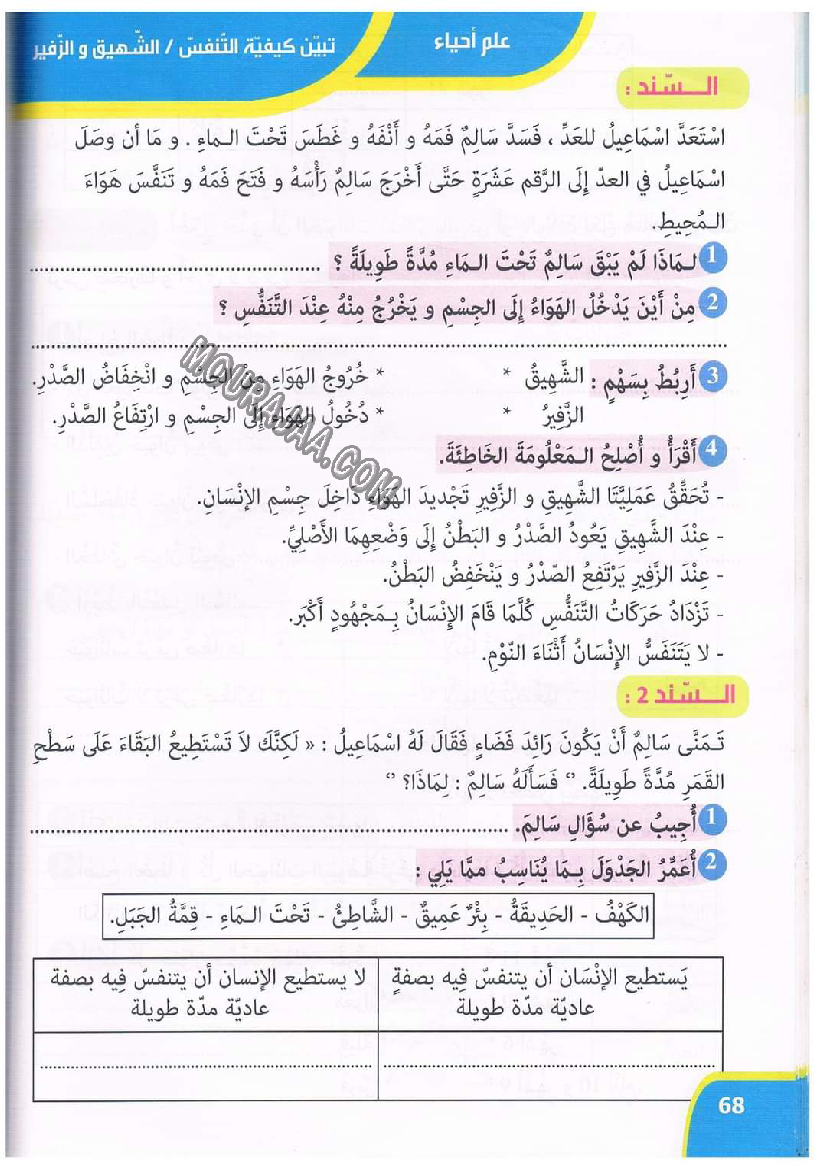 نور المعارف سنة ثالثة ثلاثي ثاني