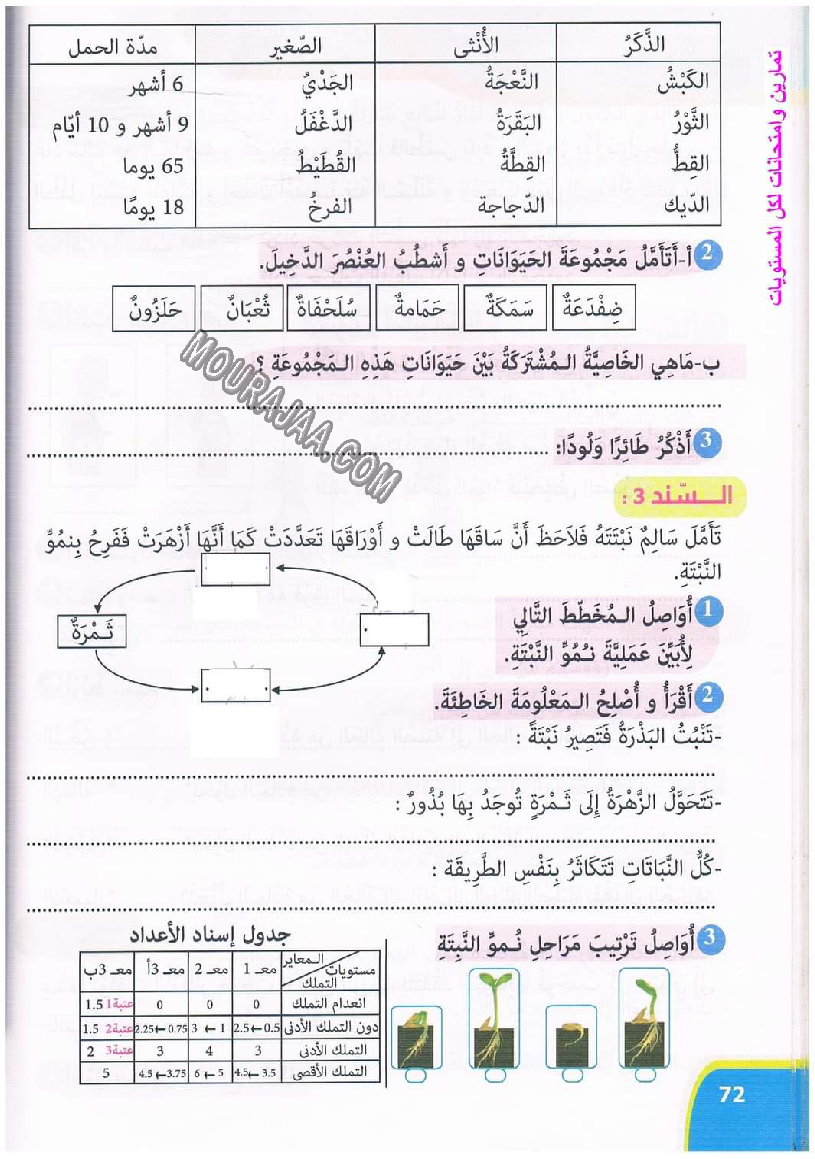 نور المعارف سنة ثالثة ثلاثي ثاني