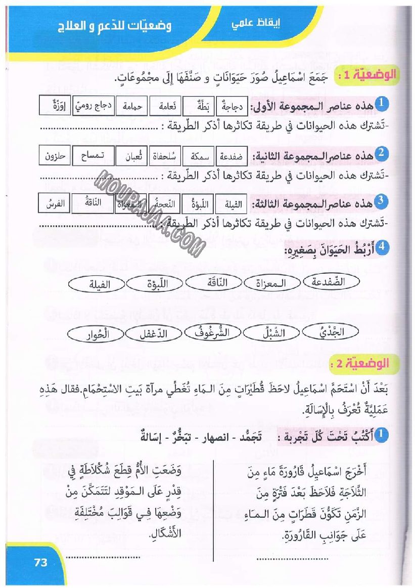 نور المعارف سنة ثالثة ثلاثي ثاني