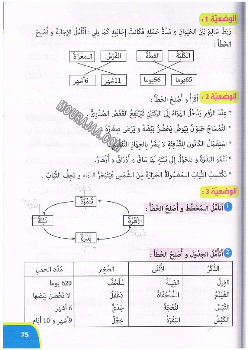 نور المعارف سنة ثالثة ثلاثي ثاني