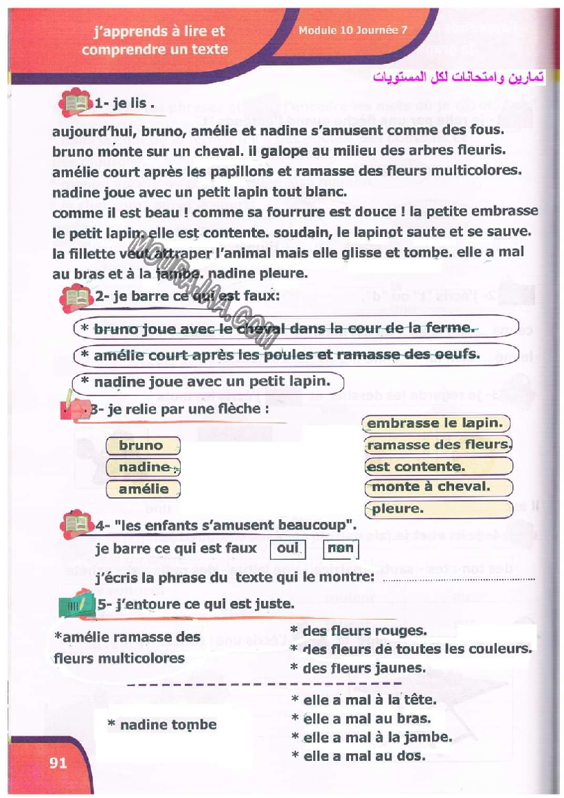 نور المعارف سنة ثالثة ثلاثي ثاني